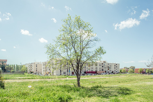 VERDE CONTEMPORANEO