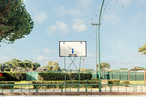 AMERICAN DREAM, 2013