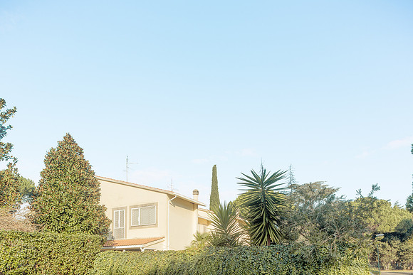 AMERICAN DREAM, 2013