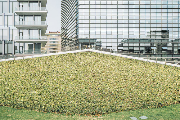 VERDE CONTEMPORANEO