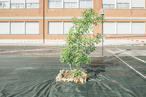 VERDE CONTEMPORANEO
