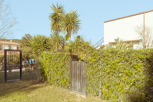 AMERICAN DREAM, 2013