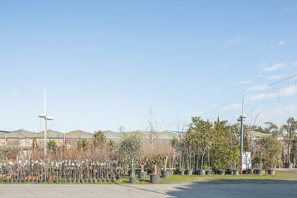 VERDE CONTEMPORANEO
