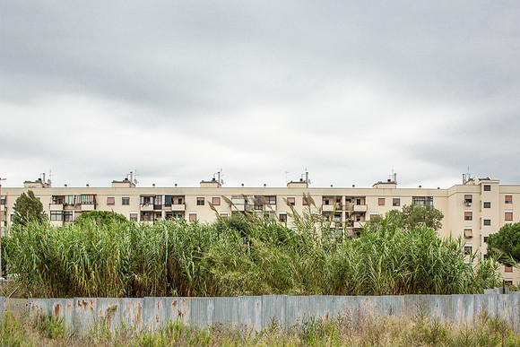 VERDE CONTEMPORANEO