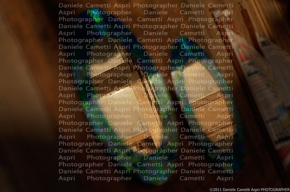 _MG_5837_8_9Auto
