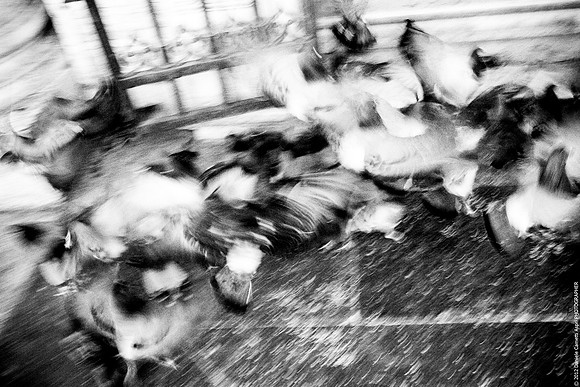 _W1C8767